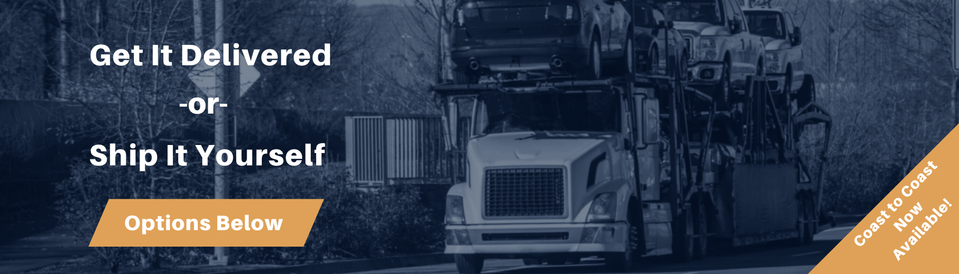 Vehicle shipping and delivery